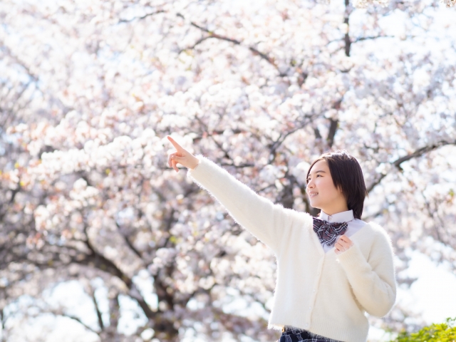 入学のお祝いに贈る花言葉 入学式におすすめの花 花だより