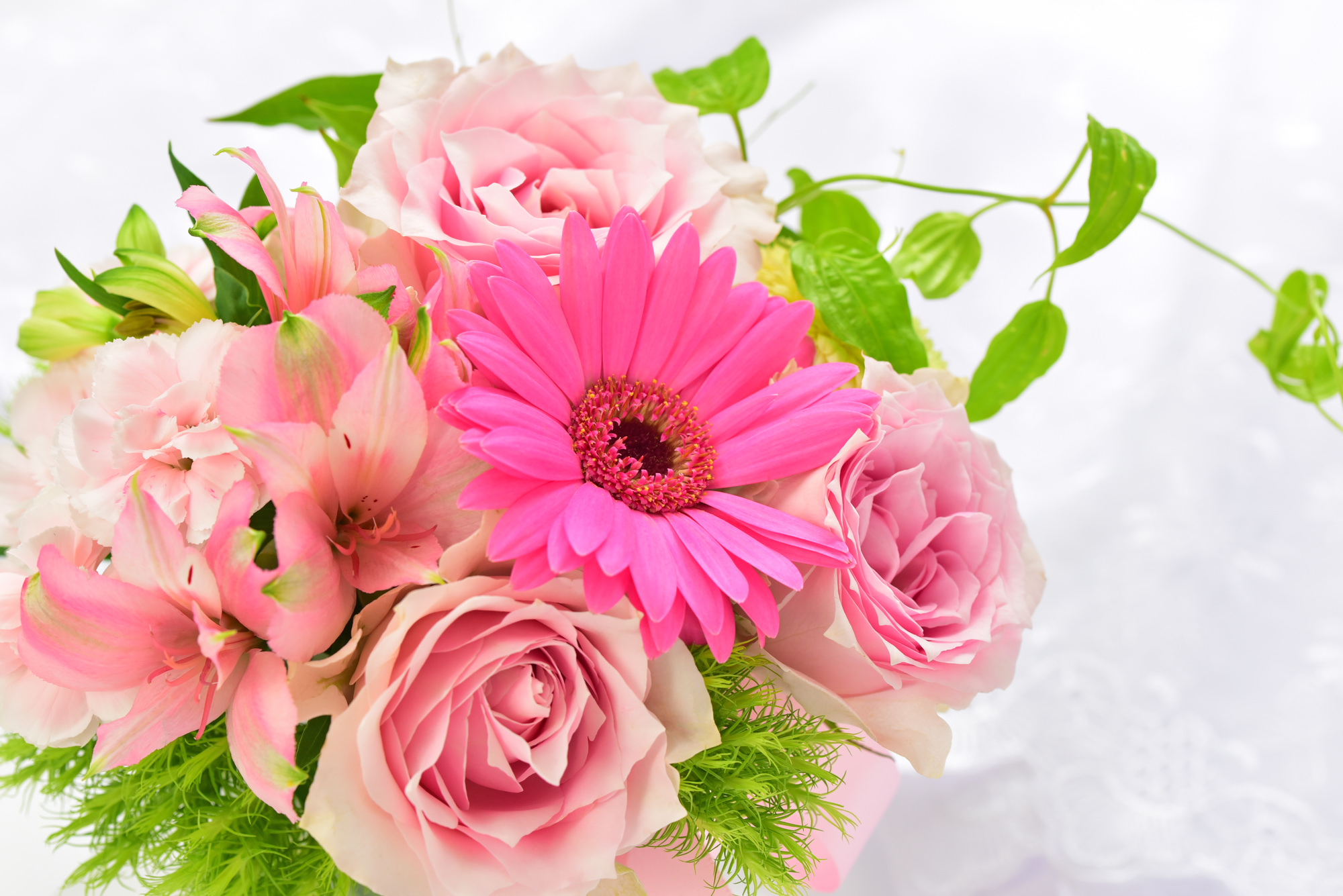 誕生日ギフト特集 花や花束の宅配 フラワーギフト通販なら花キューピット 贈り物 プレゼントで花を贈ろう