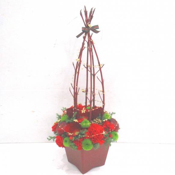 《Flower arrangement》Christmas Tree Red一般カテゴリー