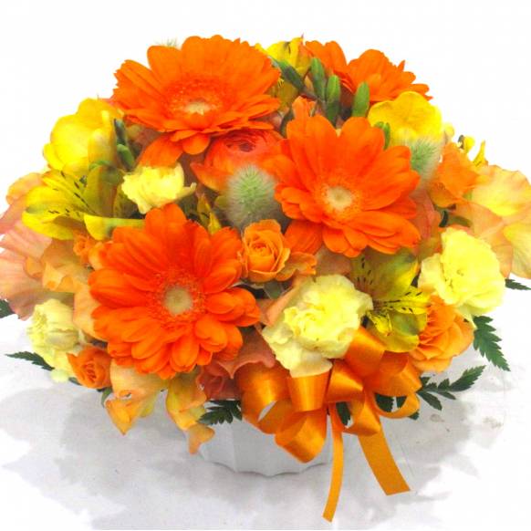 《Flower arrangement》Spring Orange一般カテゴリー